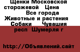 Щенки Московской сторожевой › Цена ­ 35 000 - Все города Животные и растения » Собаки   . Чувашия респ.,Шумерля г.